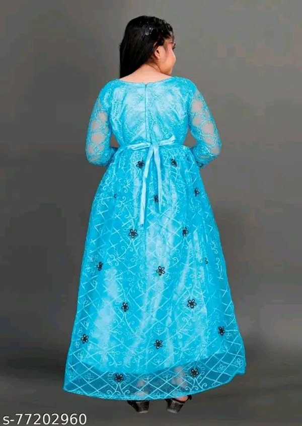 Apnisha Girls Net Embroidered Gown Dress (Sky)-New - 5-6 Years