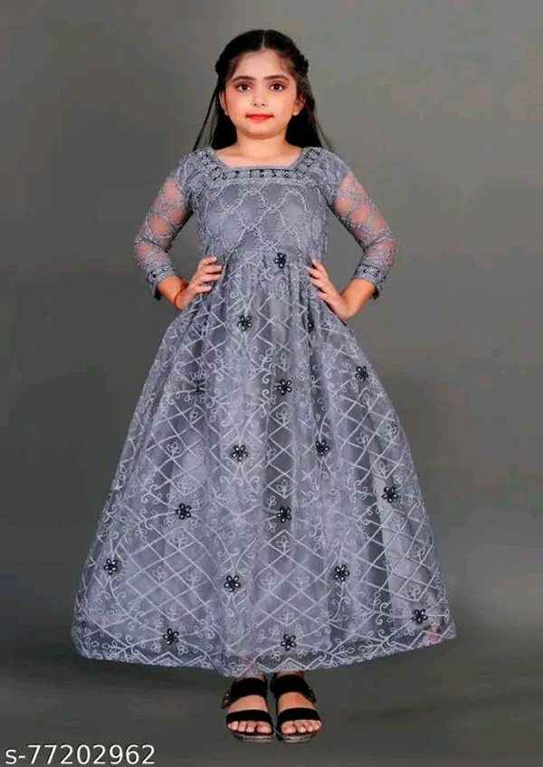Apnisha Girls Net Embroidered Gown Dress (Grey)-New - 7-8