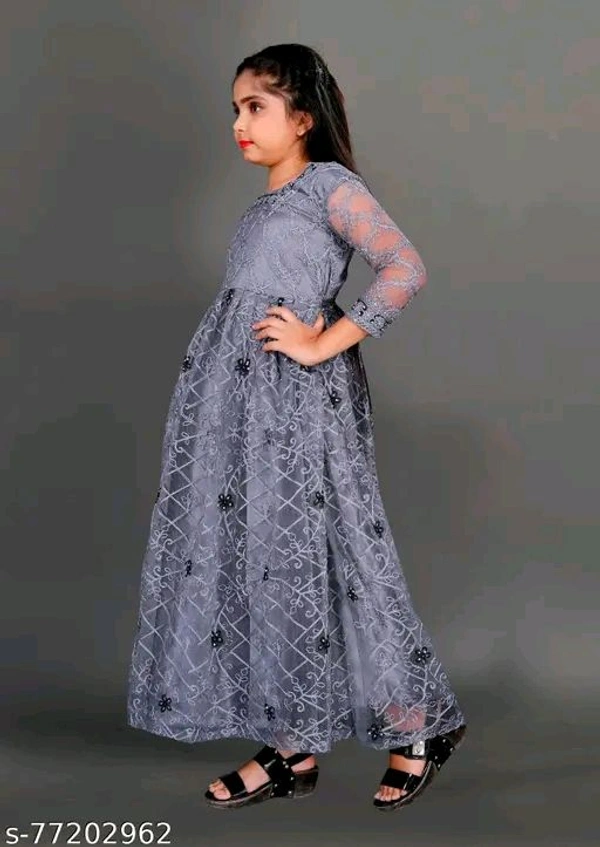 Apnisha Girls Net Embroidered Gown Dress (Grey)-New - 10-11