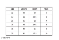 EASTWARDS GIRLS FANCY GOWN - 7-8