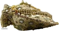 Elite Women Potli Bags