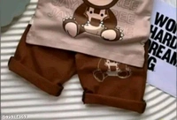 Princess Stylish Boys Top & Bottom Sets - 9-12