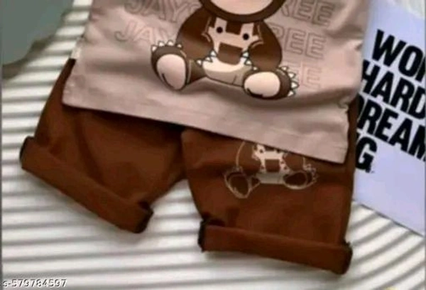 Princess Stylish Boys Top & Bottom Sets - 9-12
