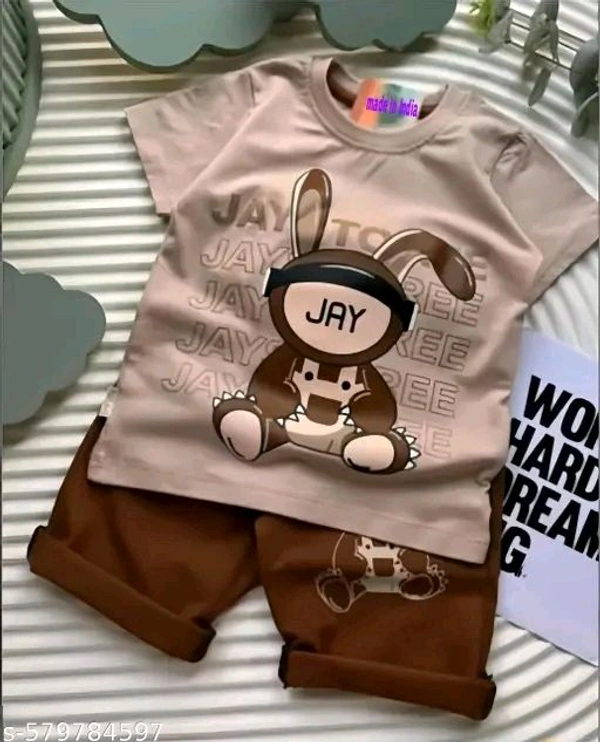 Princess Stylish Boys Top & Bottom Sets - 1-2
