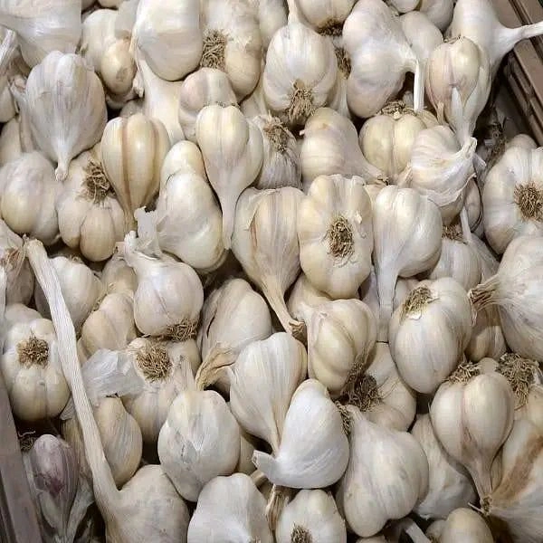 Garlic (खड़ा लहसुन) =5kg - 5kg