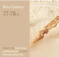 Hydrating Korean Rice Toner - Free Size