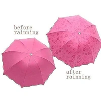 UMBRELLA 20