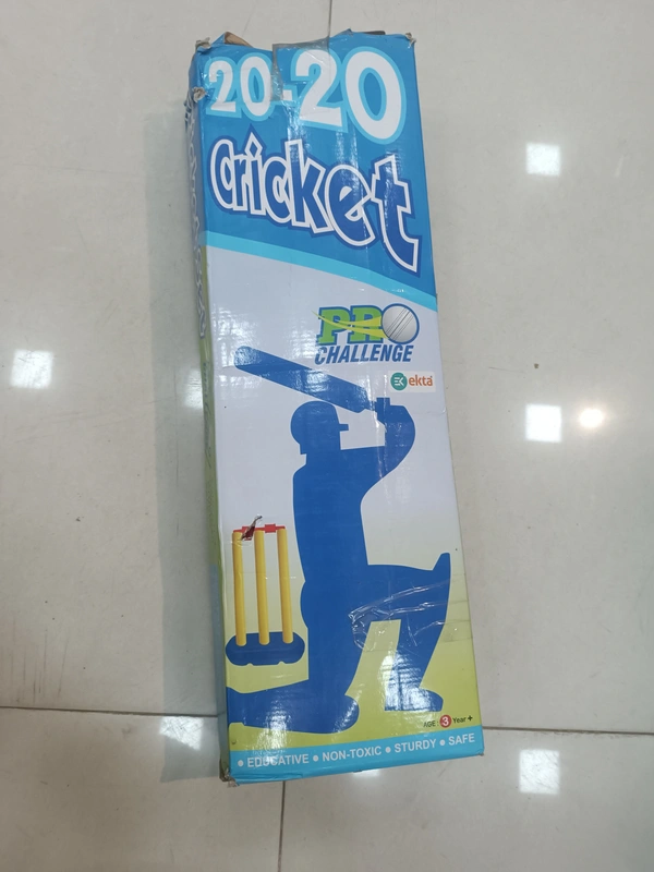 20-20 CRICKET