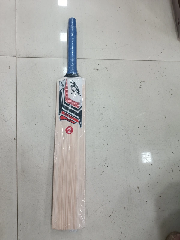 CRICKET DECO STAR NO. 2