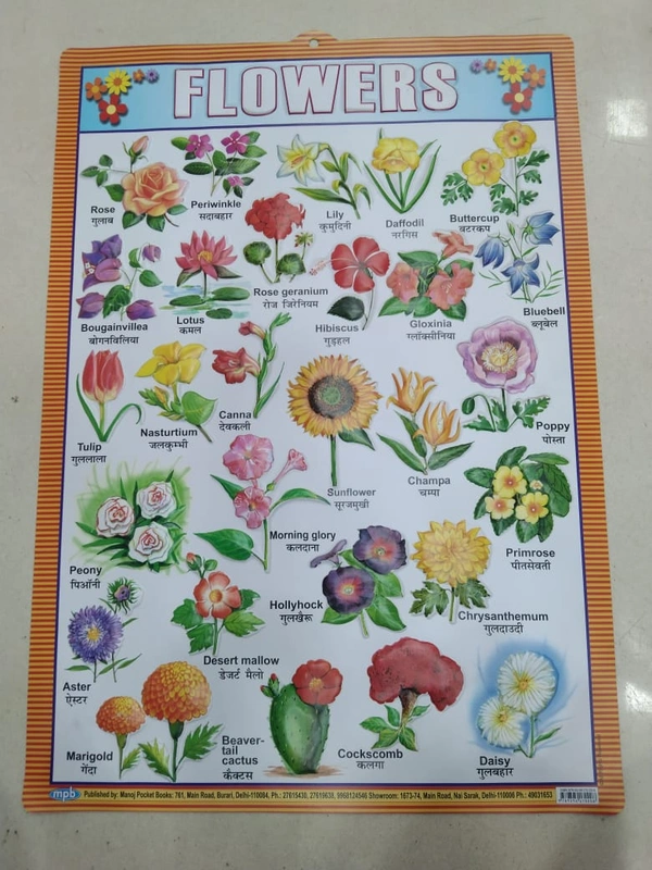 KIDS EDUCATIONAL CHART 10
