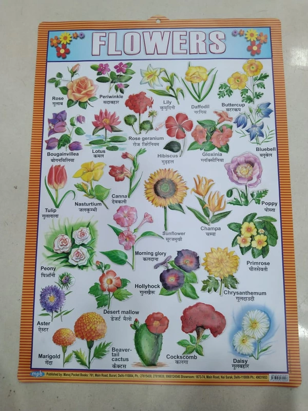 KIDS EDUCATIONAL CHART 11