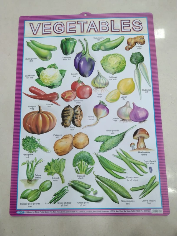 KIDS EDUCATIONAL CHART 14