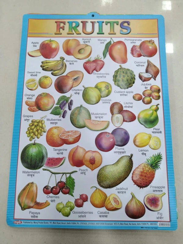 KIDS EDUCATIONAL CHART 24