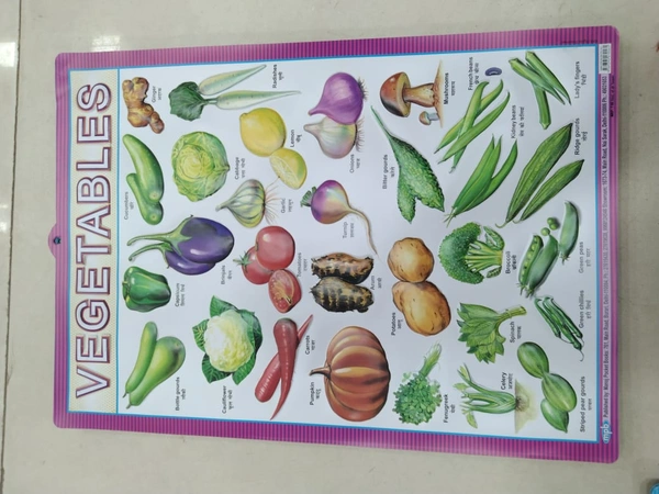 KIDS EDUCATIONAL CHART 25