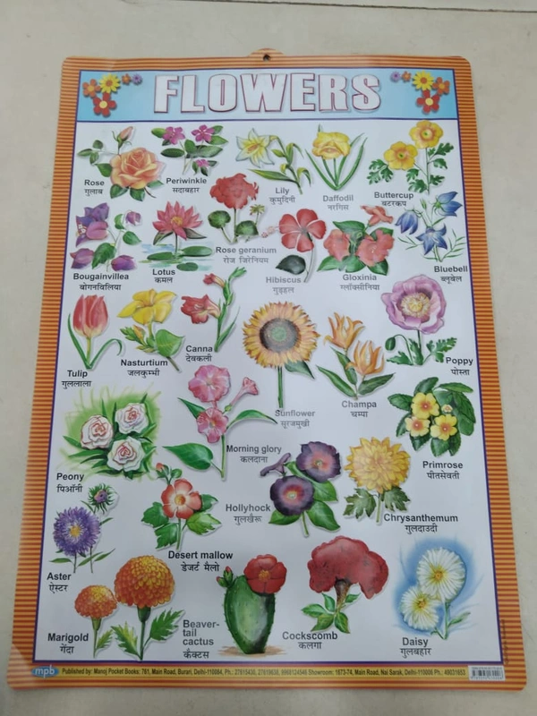 KIDS EDUCATIONAL CHART 28