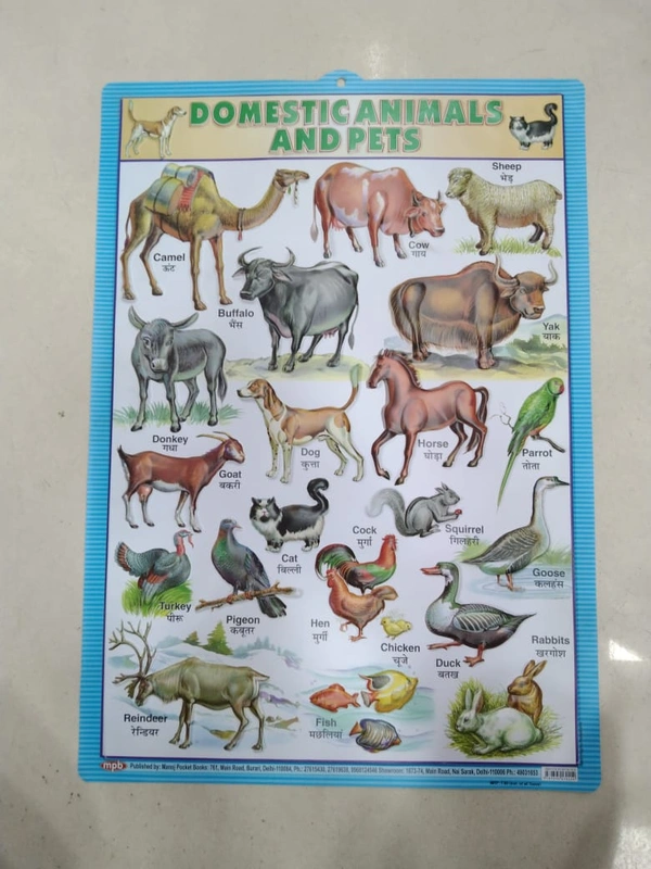 KIDS EDUCATIONAL CHART 4