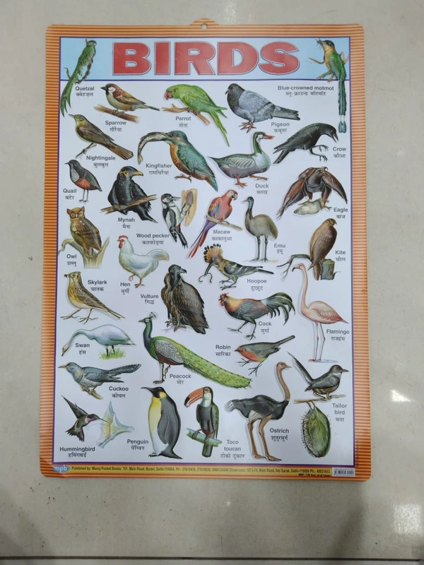 KIDS EDUCATIONAL CHART 5