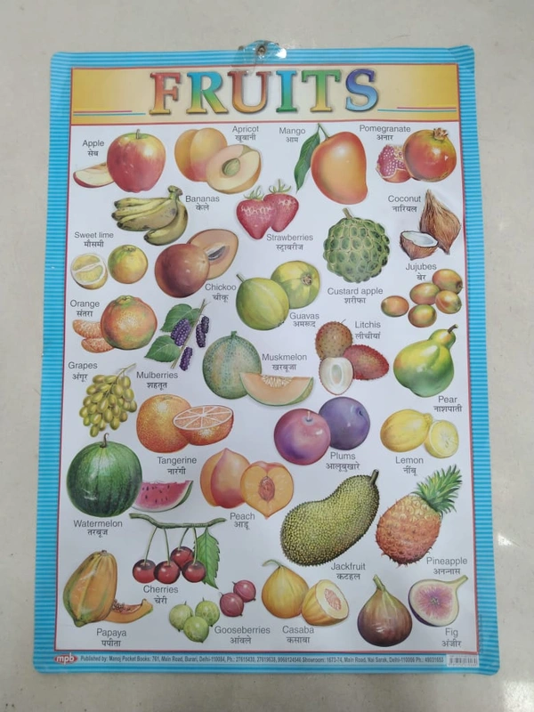 KIDS EDUCATIONAL CHART 6