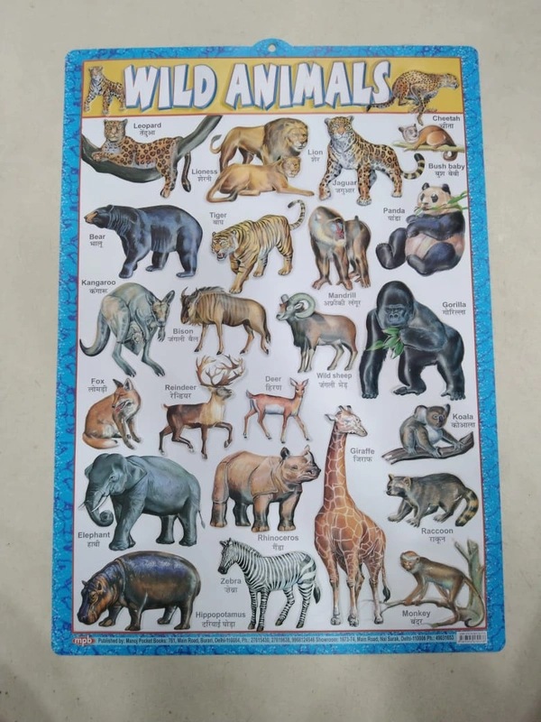 KIDS EDUCATIONAL CHART 7