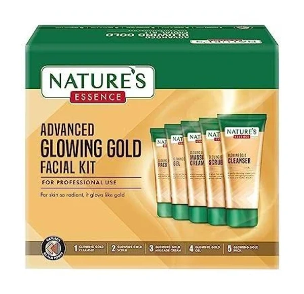 NATURE'S ESSENCE ADVANCED GLOWING GOLD FACIAL KIT FOR PROFESSIONAL USE 250G