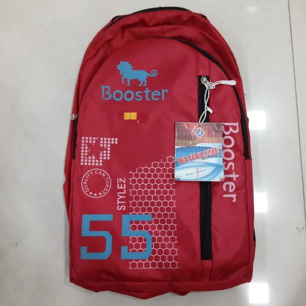 SCHOOL BAGS 31