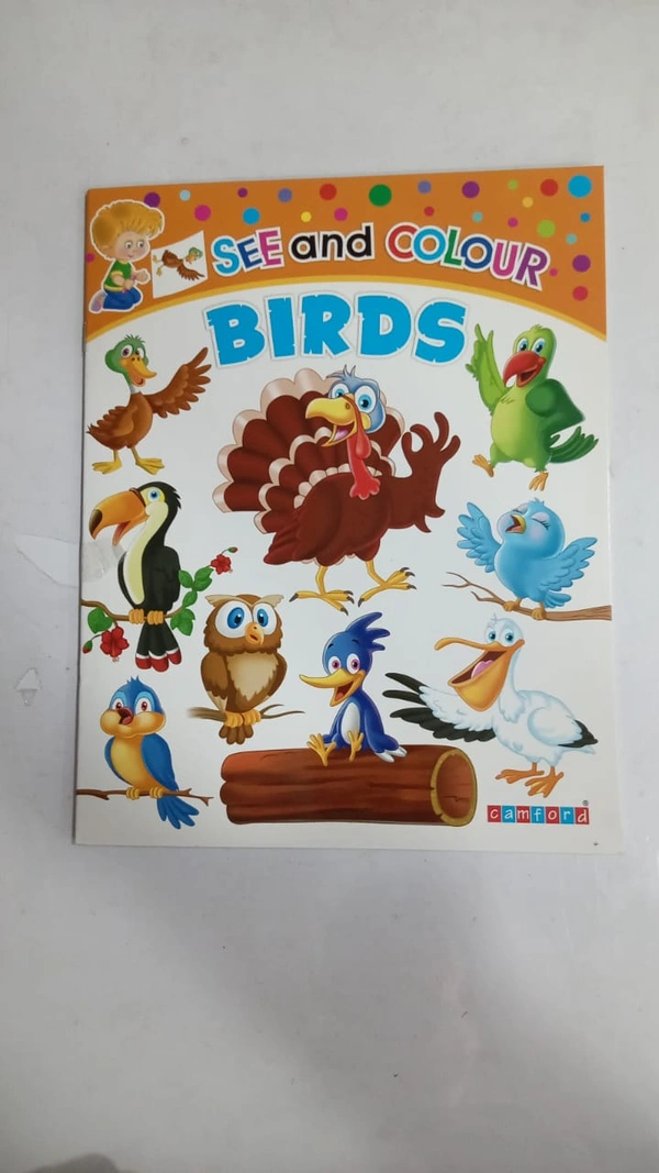 SEE AND COLOUR BIRDS