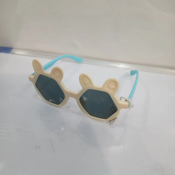 SUNGLASSES (107)