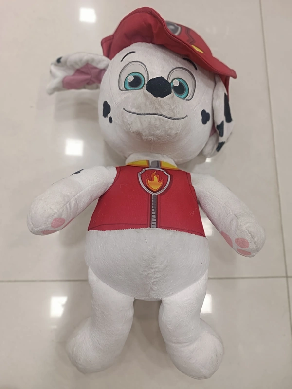TEDDY 11
