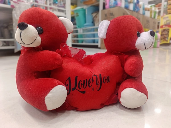 TEDDY 14