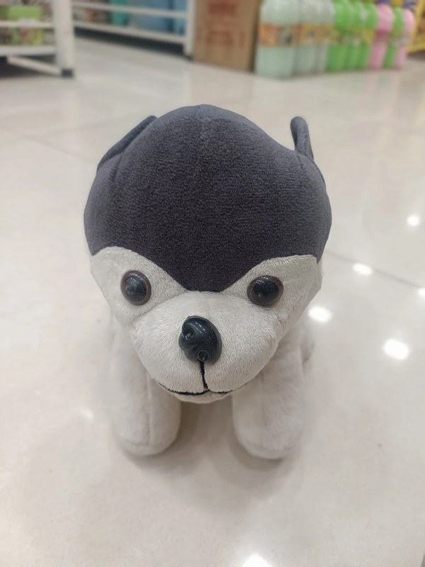 TEDDY 20