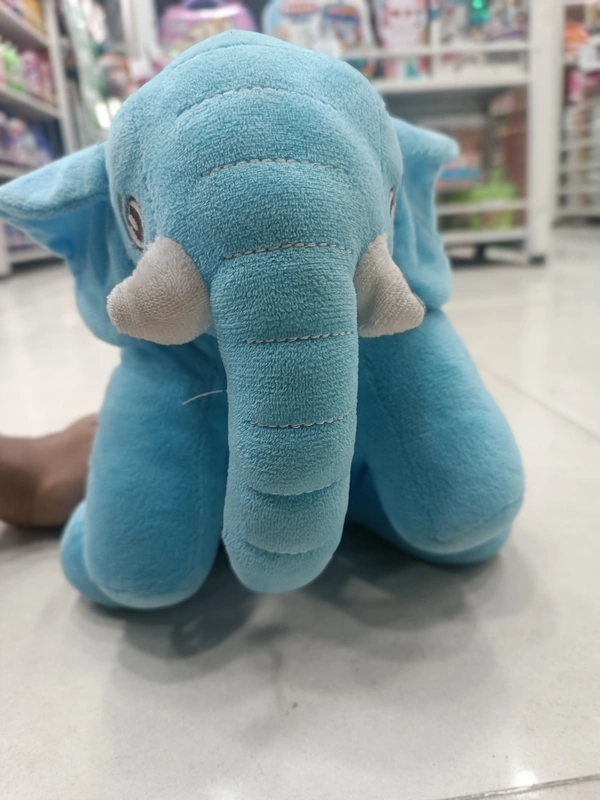 TEDDY 24