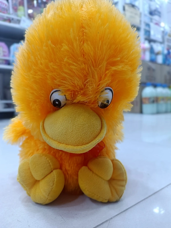 TEDDY 29