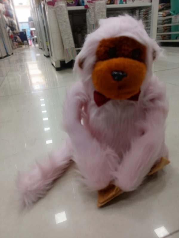 TEDDY 36