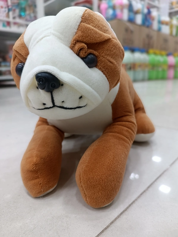 TEDDY 42