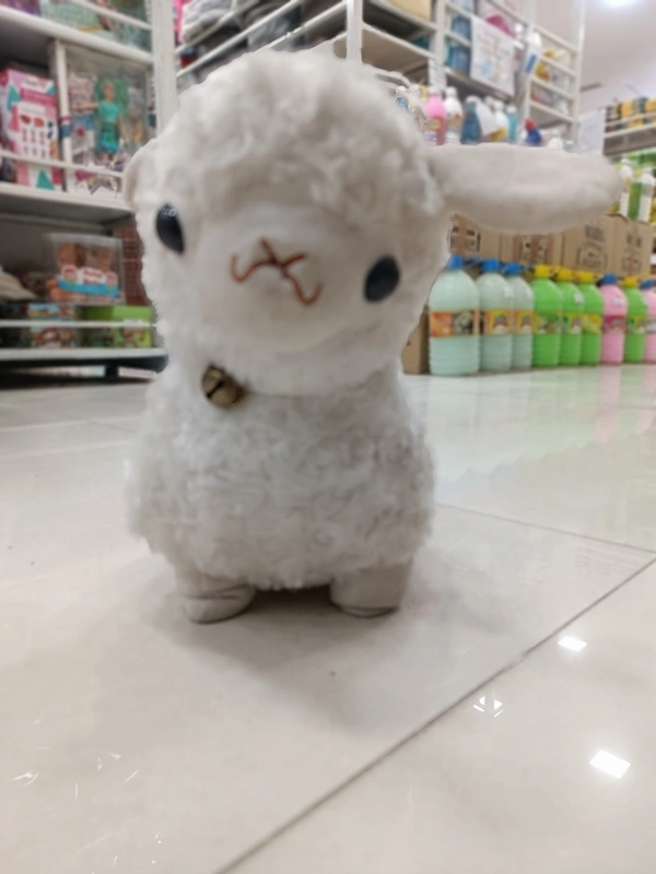 TEDDY 51