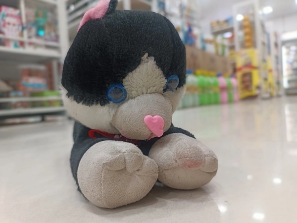 TEDDY 52