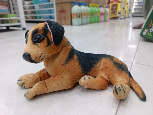 TEDDY 56