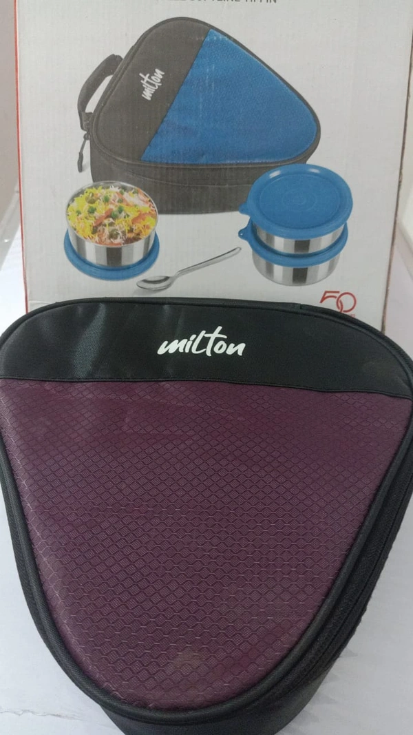 TIFFIN BOX (22)