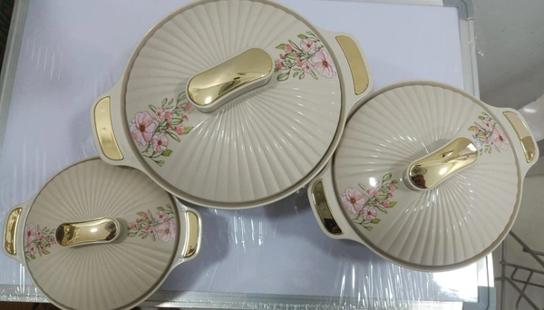TIFFIN BOX (28)