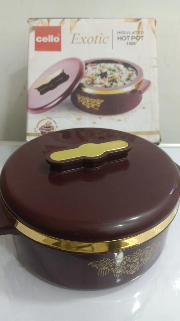 TIFFIN BOX (38)