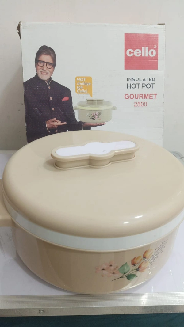 TIFFIN BOX (46)