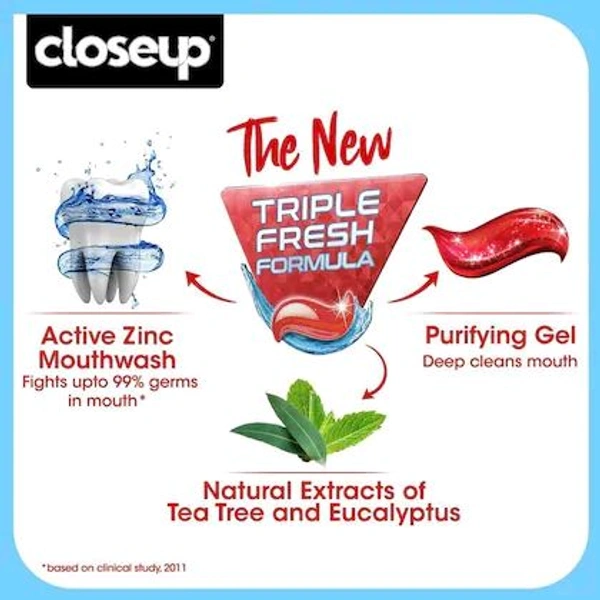 Closeup Everfresh+ Red Hot Gel Toothpaste 150 g (Pack of 2)