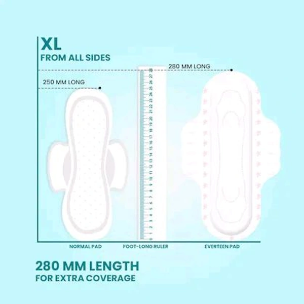 everteen XL Sanitary Pads with Neem & Safflower, Cottony-Dry Top Layer for Women- 3 Pack (60 Pads)