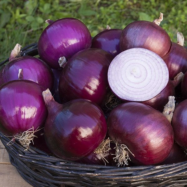 Onion (Kanda) - 1Kg - 1