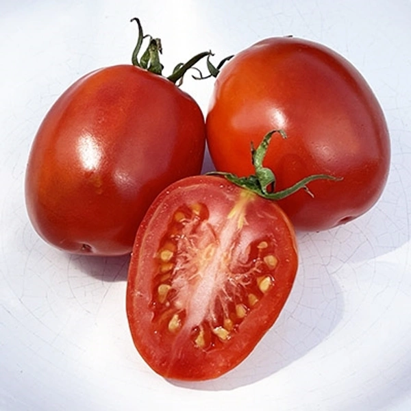 Tomato (Tamatar) - 500gm - 500