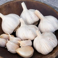 Garlic (Lasun) - 250gm - 250