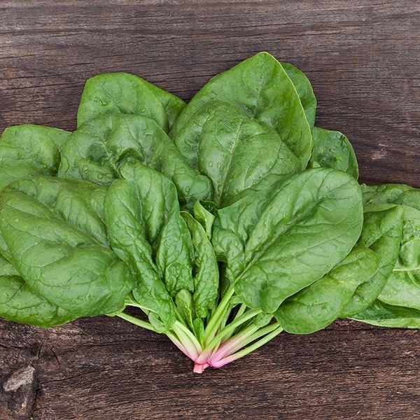 Spinach (Palak) - 250gm - 250