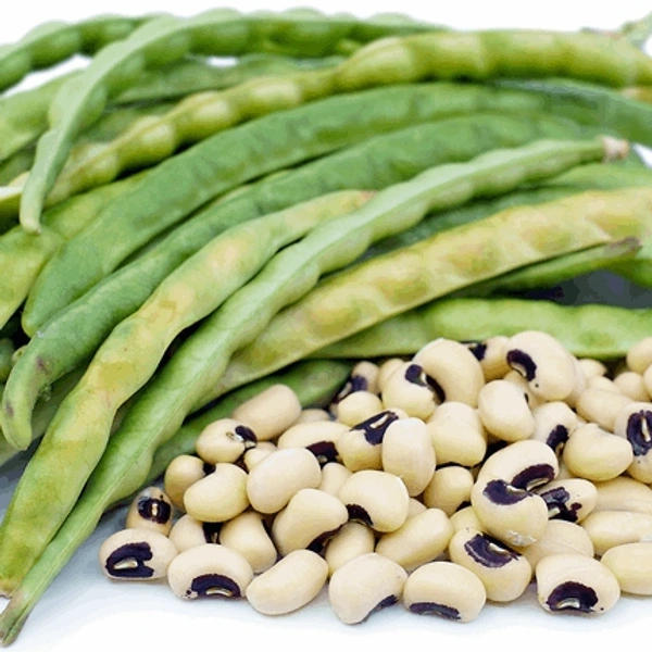 Cowpea Beans (Chawali) - 250gm - 250