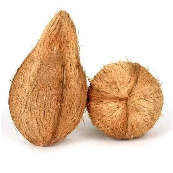 Brown Coconut (Naral) - 1pcs - 1pc