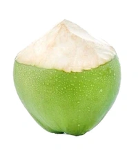 Tender Coconut (Shahale) - 1pcs - 1